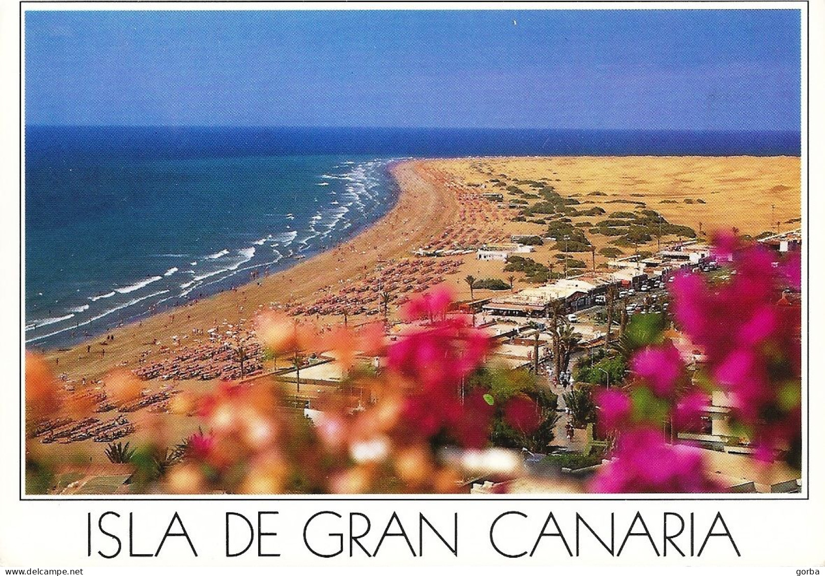 *CPM  - ESPAGNE - CANARIES - GRAN CANARIA - Playa Del INGLES - - Gran Canaria