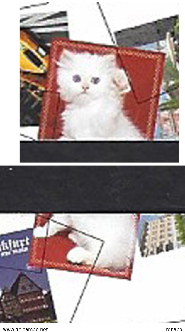 Pays-Bas, Nederland, Netherlands 2011; Pictures From The World; Postcard With Red Cat, White Cat On The 2 Edges; 10v M/s - Katten
