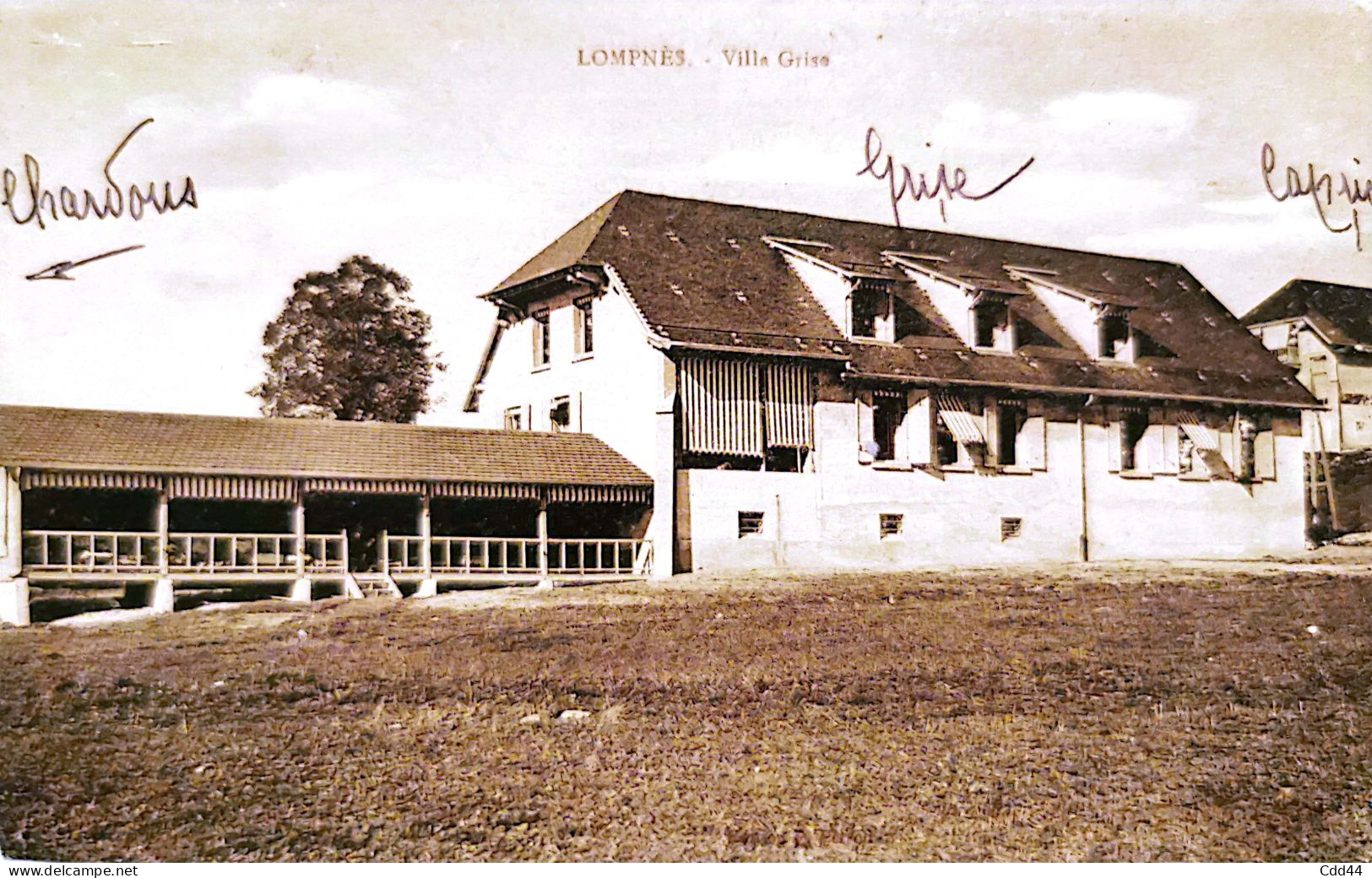 LOMPNES VILLA GRISE - Hauteville-Lompnes