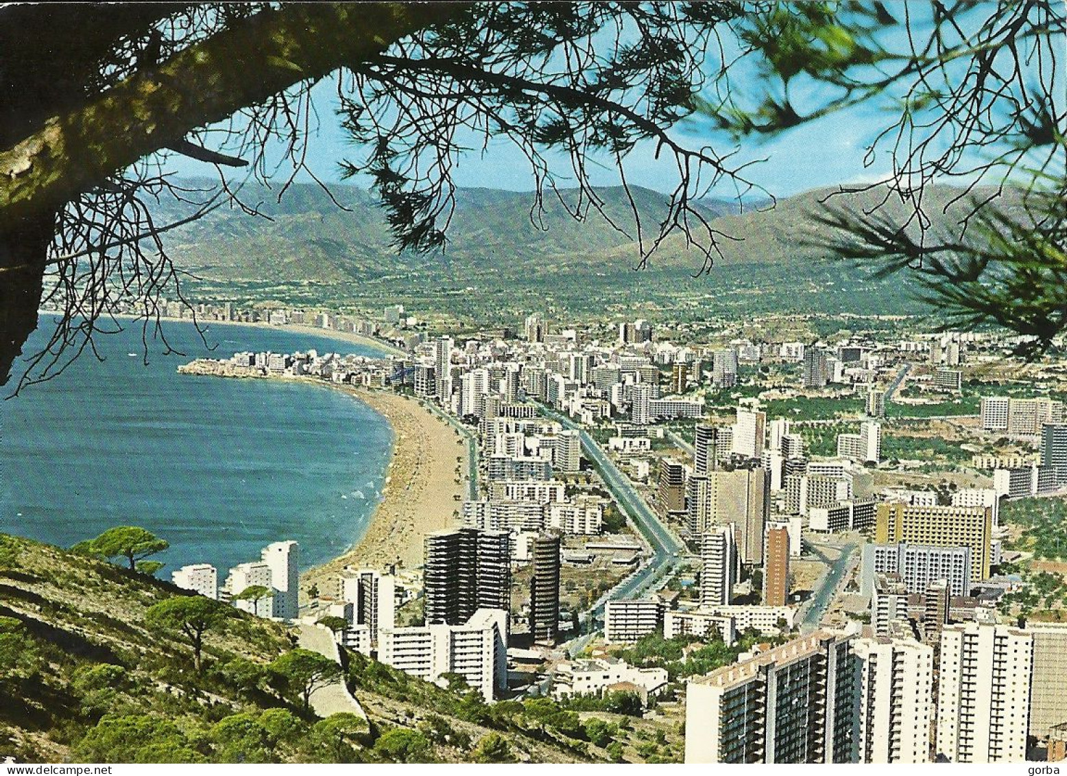 *CPM  - ESPAGNE - COMUNIDAD VALENCIANA - BENIDORM - Vue Générale - Alicante