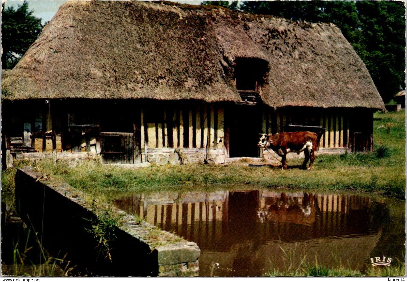 28-3-2024 (4 Y 19) France - Posted 1968) Ferme Nornande / Normady Farm - Granja