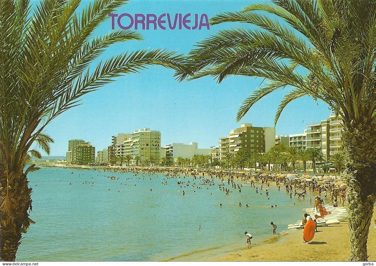 *CPM -  ESPAGNE - COMUNIDAD VALENCIANA - TORREVIEJA - Playa Del Cura - Alicante