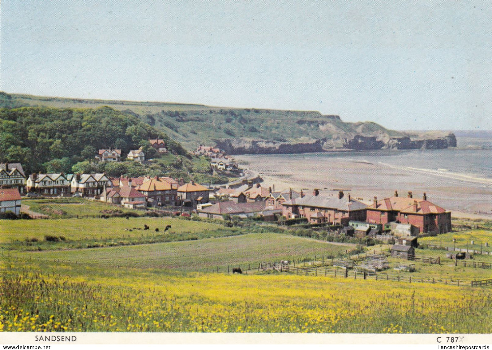 Postcard Sandsend Nr Whitby My Ref B26407 - Whitby