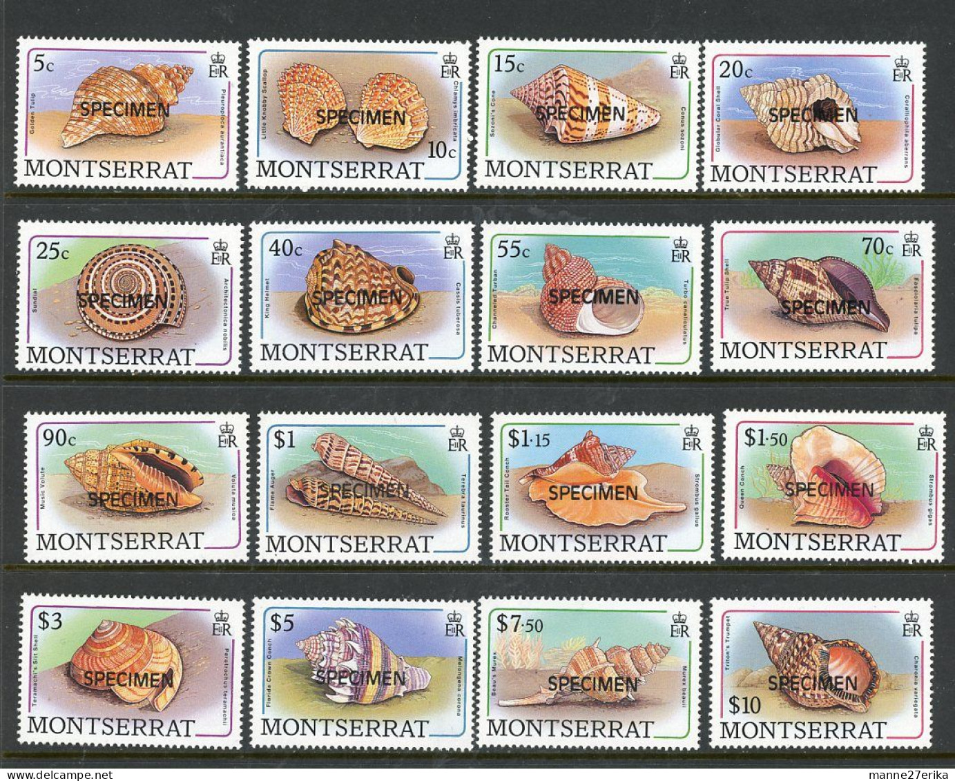 -Montserrat-1988-"Sea Shells" MNH (**) - Montserrat
