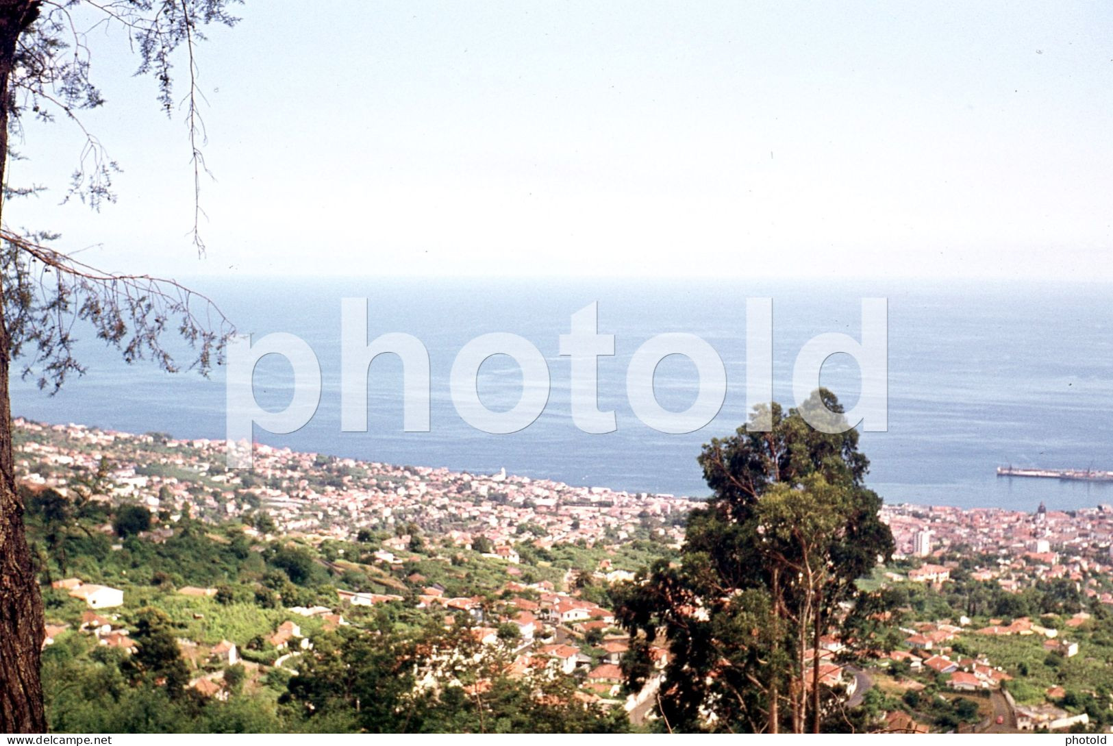 8 SLIDES SET 1970s FUNCHAL MADEIRA PORTUGAL AMATEUR 35mm SLIDE not PHOTO no FOTO NB3965