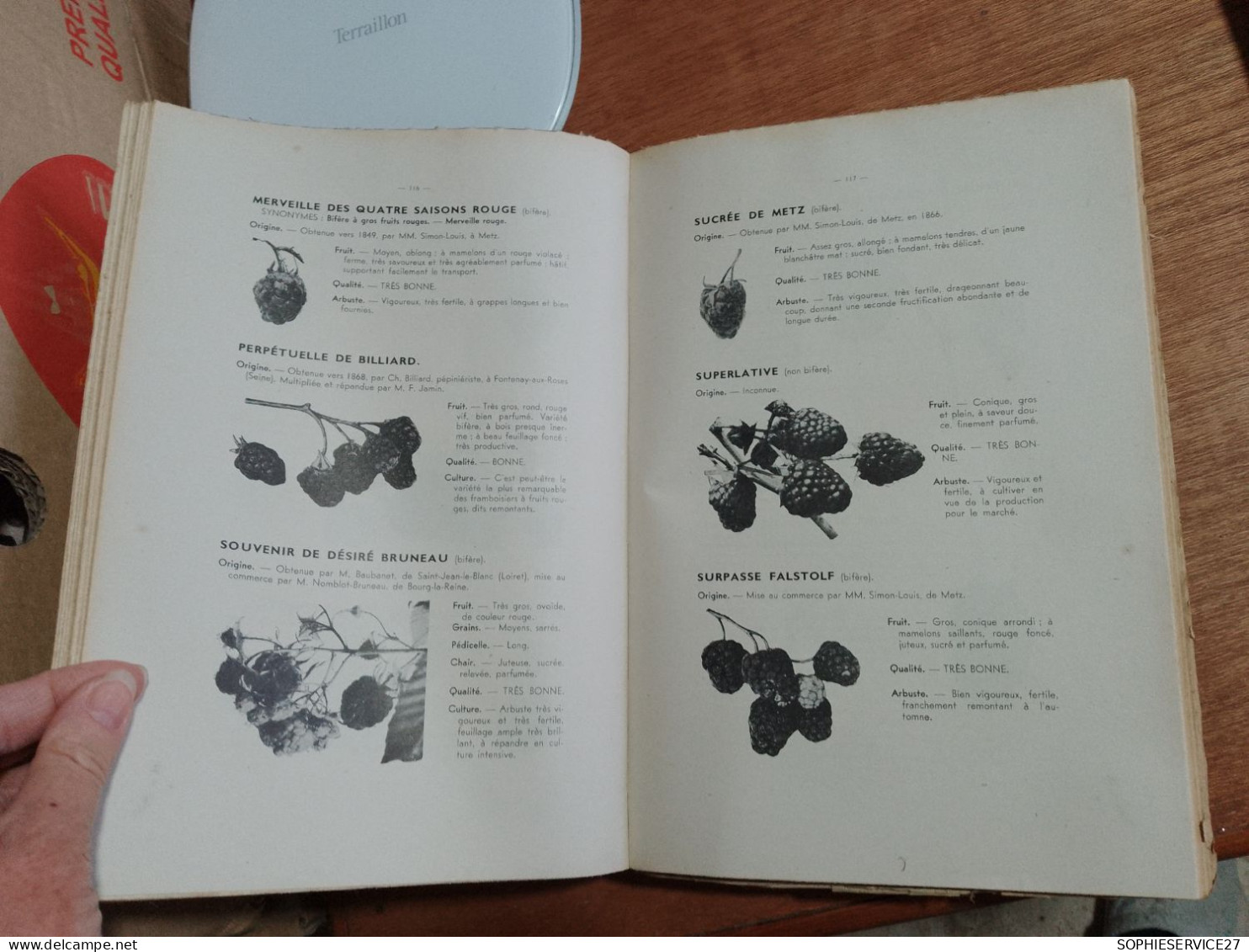 154 // LE VERGER FRANCAIS / TOME 1 / CATALOGUE DESCRIPTIF DES FRUITS ADOPTES PAR LE CONGRES POMOLOGIQUE 1947 / 546 PAGES - Jardinería