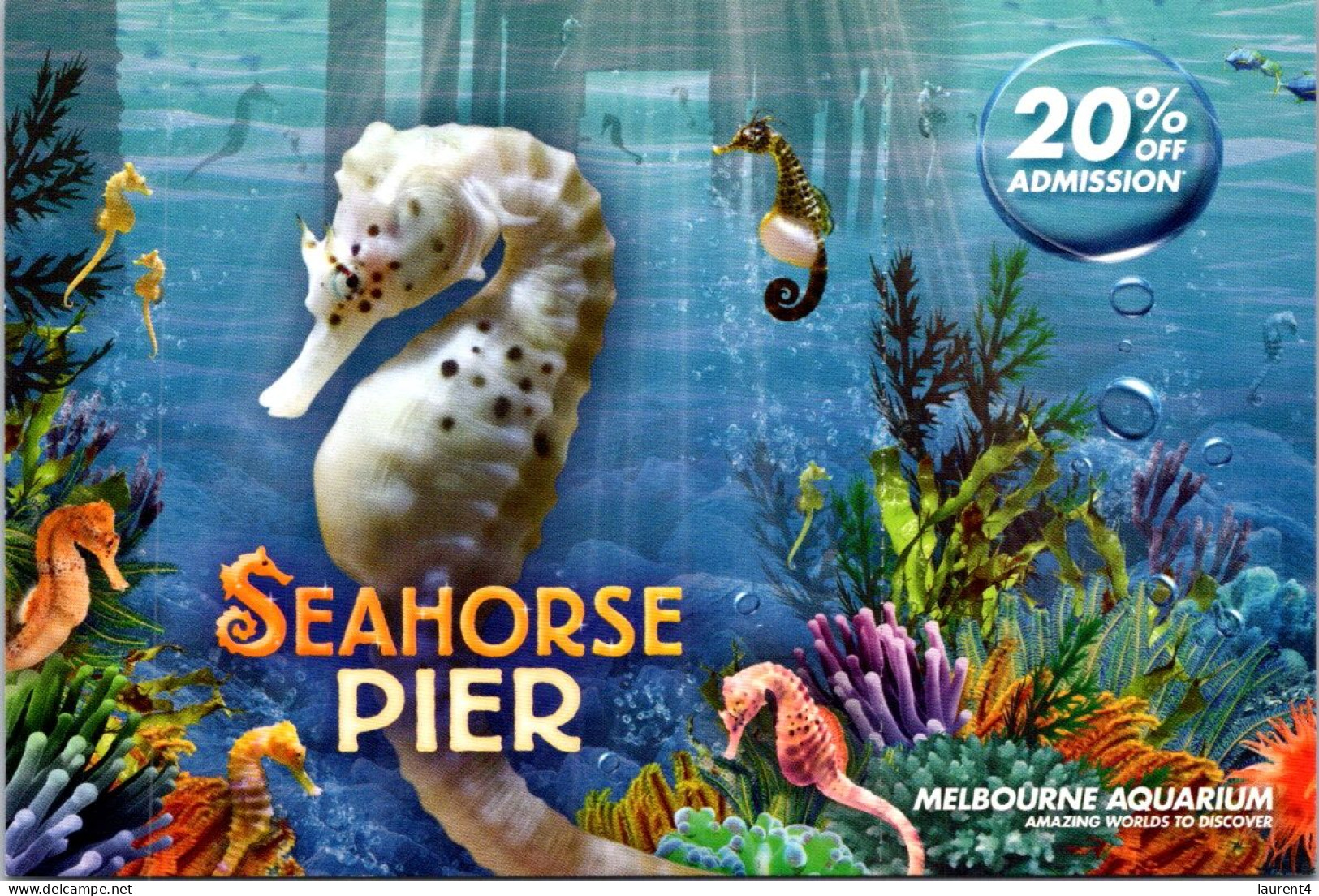 28-3-2024 (4 Y 20) Australia - VIC - Melbourne Aquarium - Seahose Pier - Pesci E Crostacei