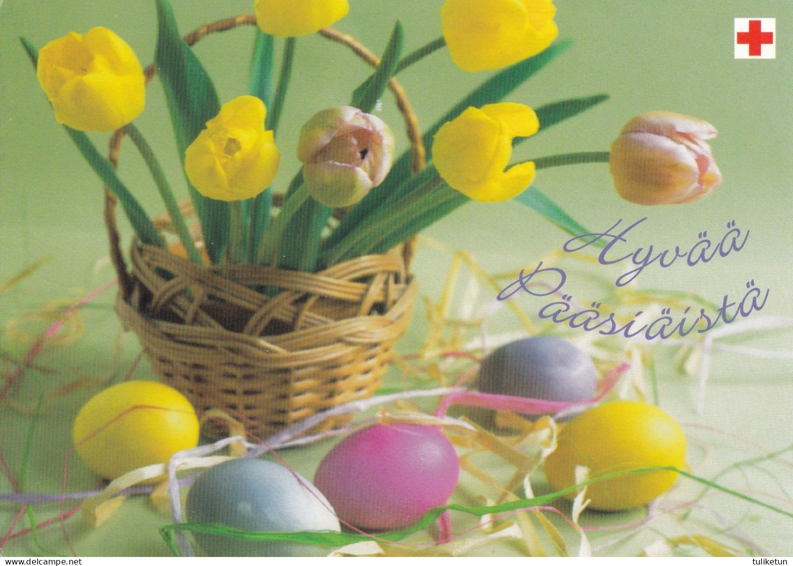 Easter Flowers - Tulips - Eggs - Red Cross 2004 - Postal Stationery - Suomi Finland - Postage Paid - Postwaardestukken
