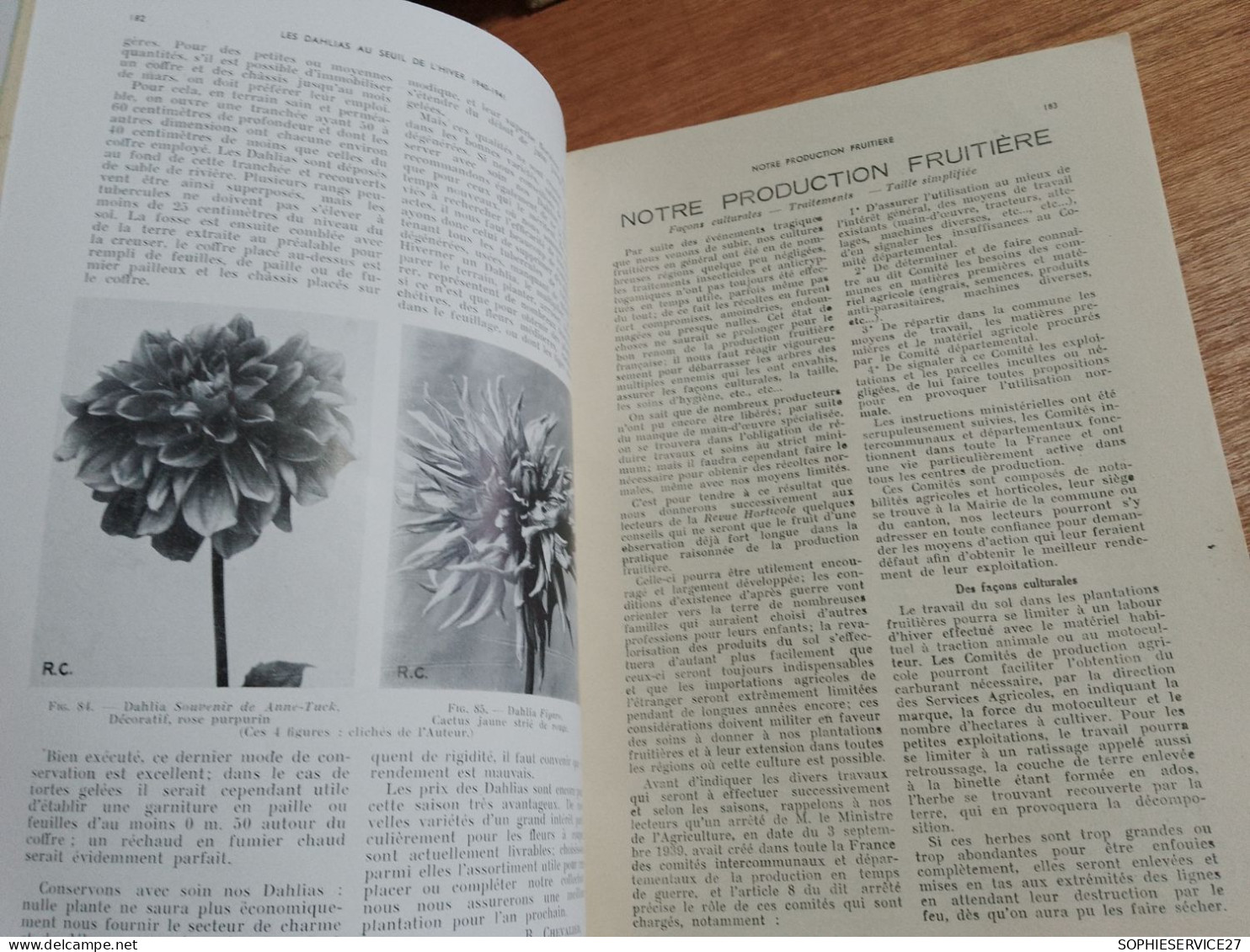 154 // REVUE HORTICOLE 1940 / N°2073 - 1900 - 1949