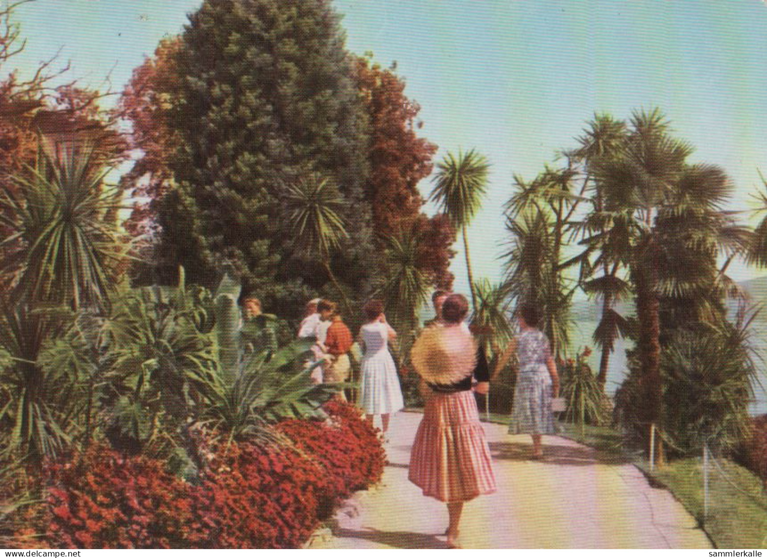 29149 - Mainau - Palmengarten - 1958 - Konstanz