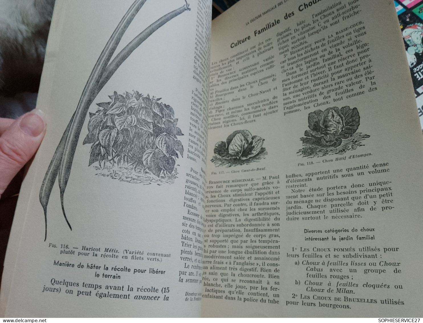 154 // REVUE HORTICOLE 1941 / N°2075 - 1900 - 1949