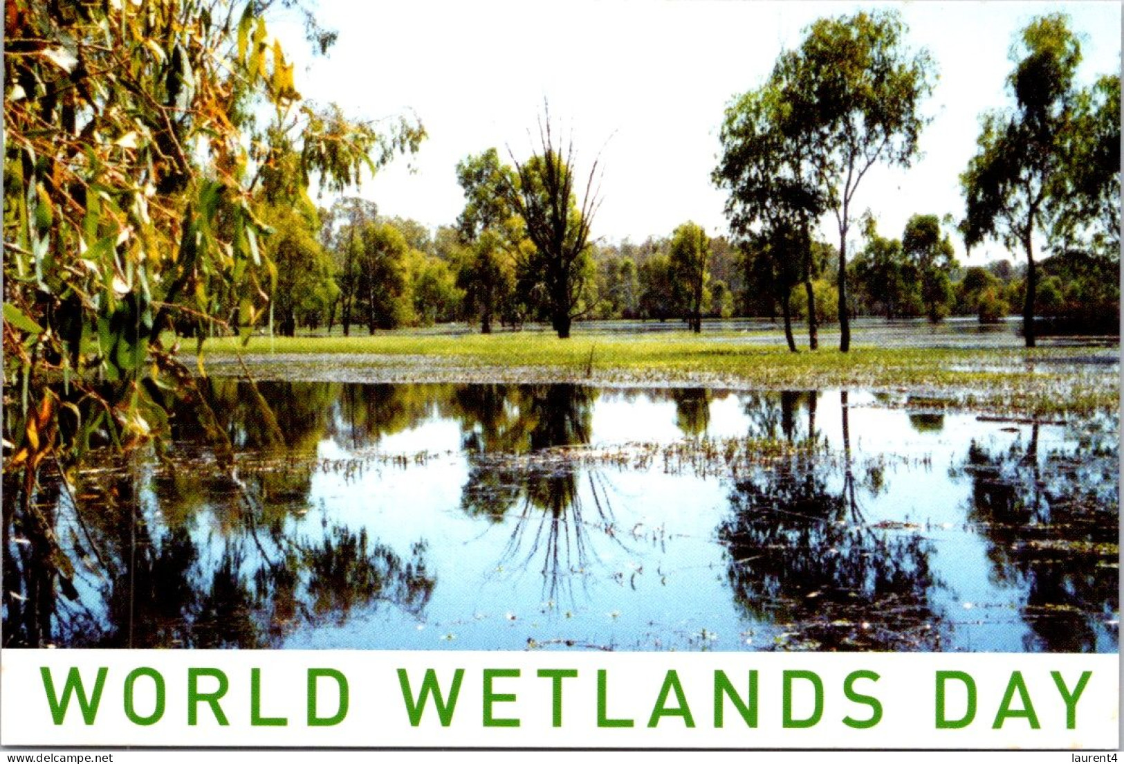 28-3-2024 (4 Y 20) World Wetland Day 02-02-2002 - Árboles