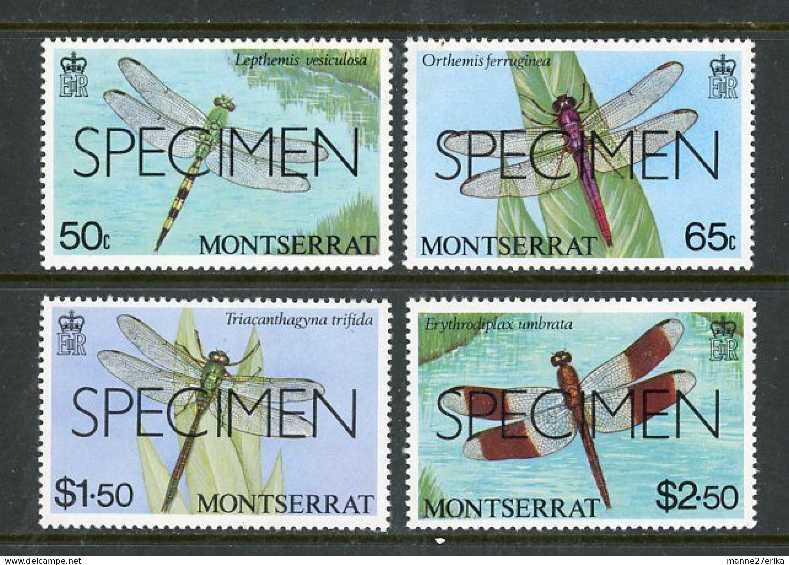 -Montserrat-1983-"Dragon Flies" MNH (**) - Montserrat