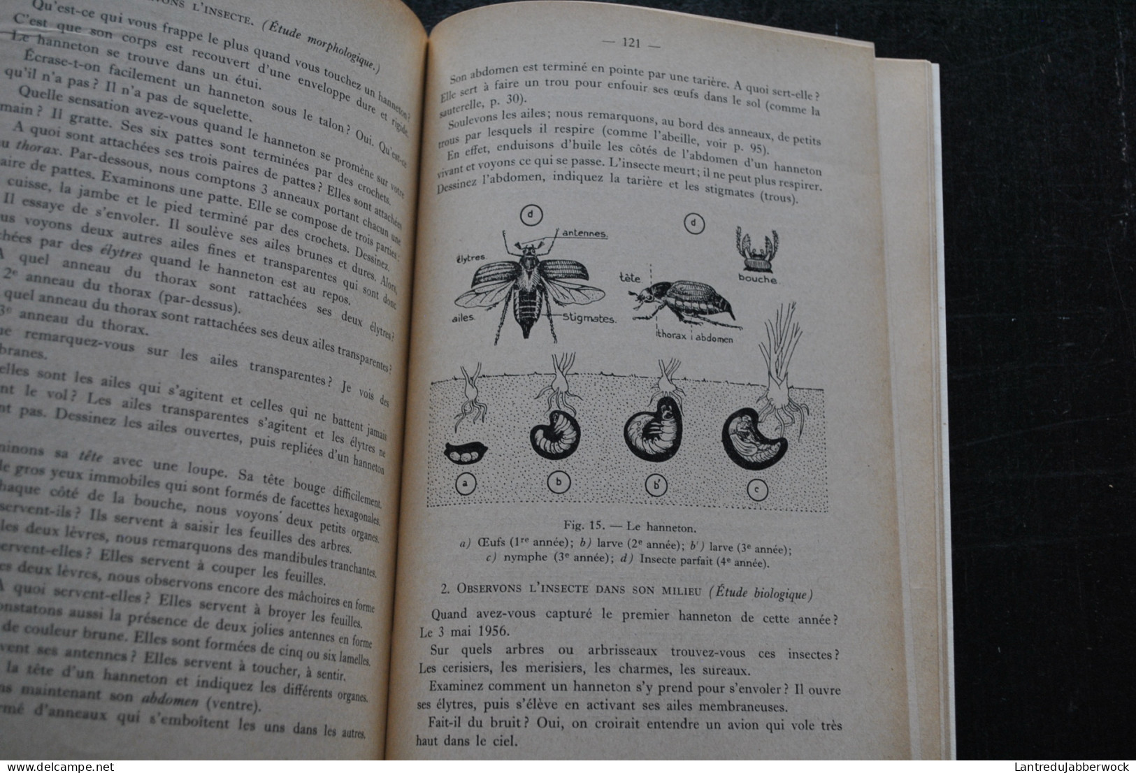 Ernest TONET Le Buisson Du Talus Et Ses Alentours Immédiats 1957 Chef D'école De Gelbressée Illustrations Georges COSSE - Belgium