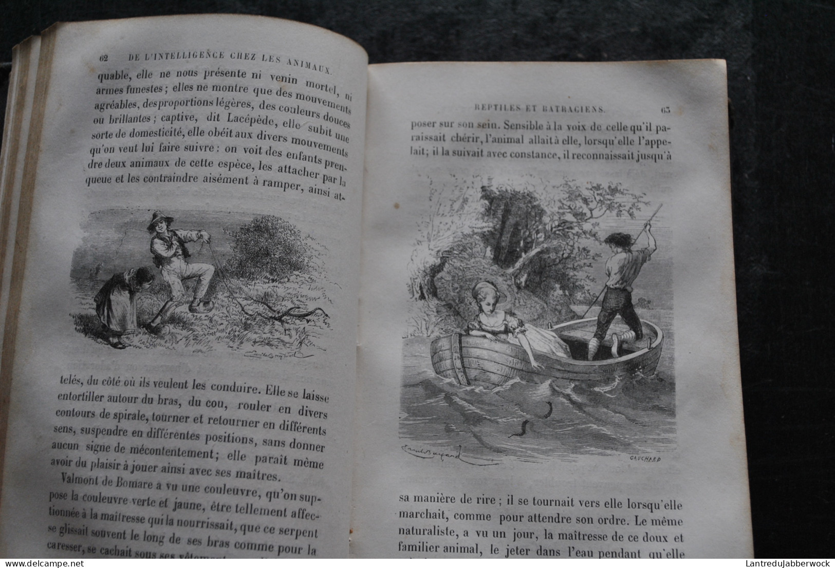 Ernest MENAULT L'INTELLIGENCE DES ANIMAUX Hachette 1868 Bibliothèque Des Merveilles Illustrations Bayard Mesnel Gravures - 1801-1900