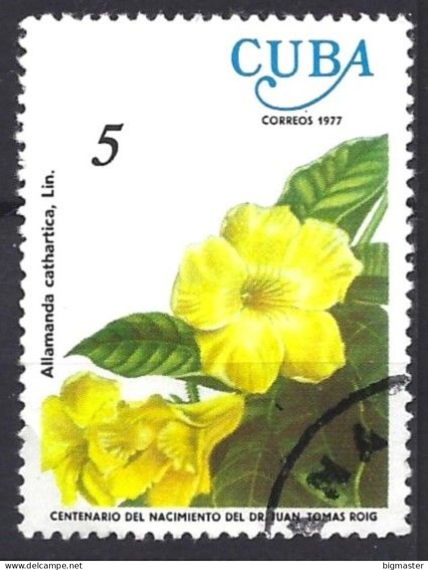 Cuba 1977 Golden Trumpet (Allamanda Cathartica) Fu - Oblitérés