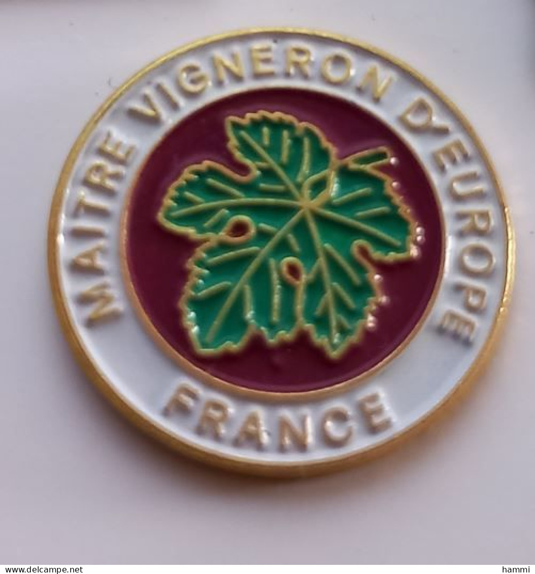 A199 Pin's Vin Vins Feuille De Vigne Maitre Vigneron D'Europe France Achat Immédiat - Beverages