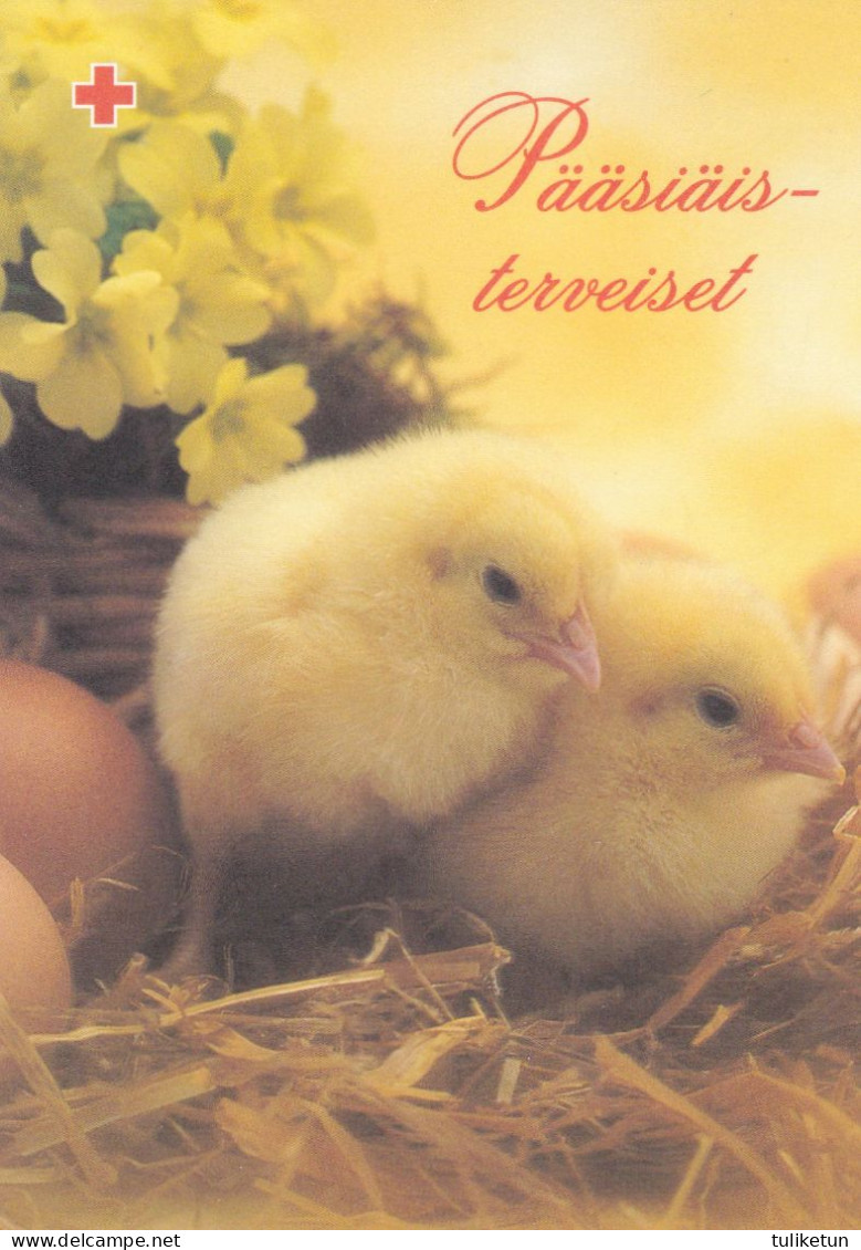 Postal Stationery - Chicks In The Basket With Eggs - Easter - Red Cross 2000 - Suomi Finland - Postage Paid - Postwaardestukken