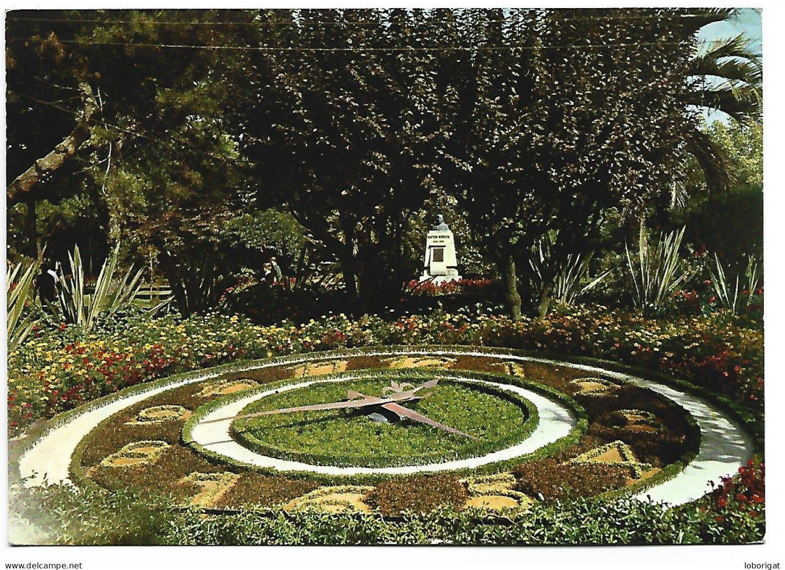 RELOJ FLORAL / HORLOGE EN FLEURS / FLOWER CLOK.- LA CORUÑA / GALICIA .- ( ESPAÑA ) - Blumen