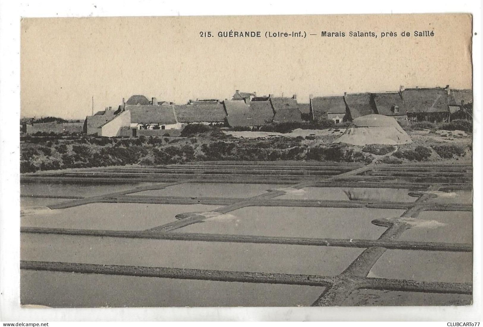 Guérande (44) : Vue Panoramique Du Quartier Près De Sallé Pris Des Marais Salalnts En 1910 (animé) PF. - Guérande