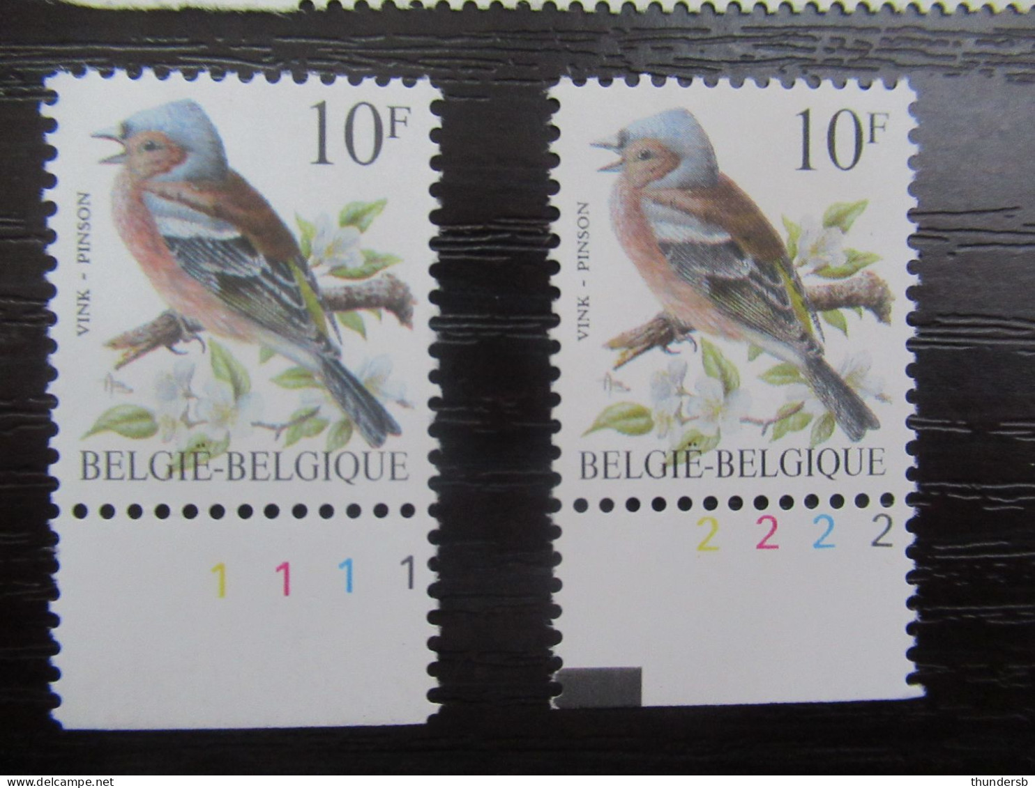 2351 'Buzin: Vink' - Hoekdatums En Plaatnummers - Postfris ** - 1985-.. Pájaros (Buzin)