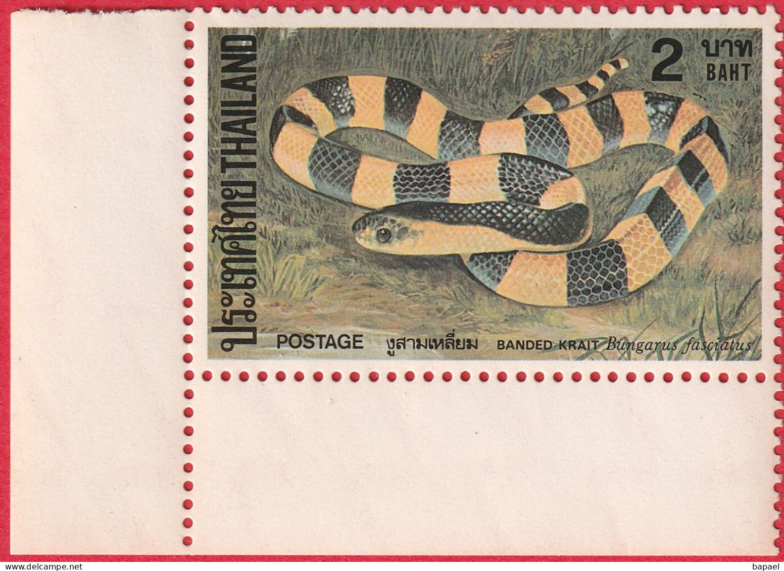 N° Yvert & Tellier 970 - Timbre De Thaïlande (1981) (Neuf - **) - Serpents - Bungarus Fasciatus - Thailand