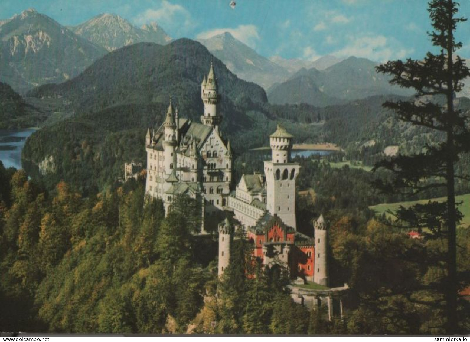 43046 - Schwangau Neuschwanstein - Ca. 1980 - Füssen