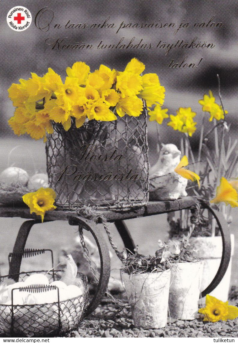 Postal Stationery - Easter Flowers - Daffodils - Narcissus - Red Cross - Suomi Finland - Postage Paid - Entiers Postaux