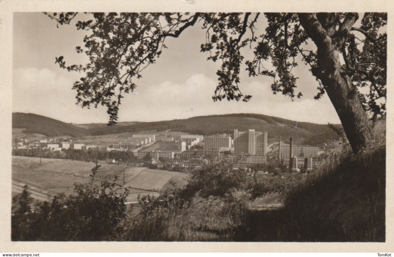 Old Black And White Postcard Zlin - Panorama - Tchéquie