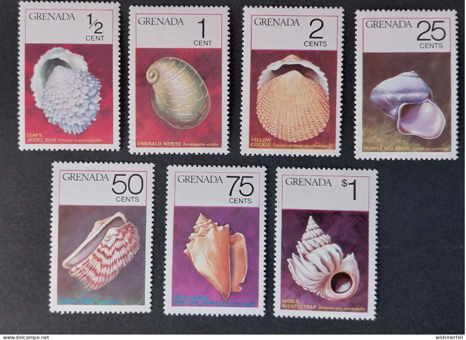 Coquillages Shells // Série Complète Neuve ** MNH ; Grenade YT 611/617 (1975) Cote 13 € - Coneshells