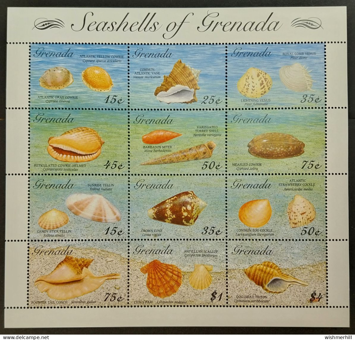 Coquillages Shells // Série Complète Neuve ** MNH ; Grenade YT 2260/2271 En Bloc (1993) Cote 15 € - Coquillages