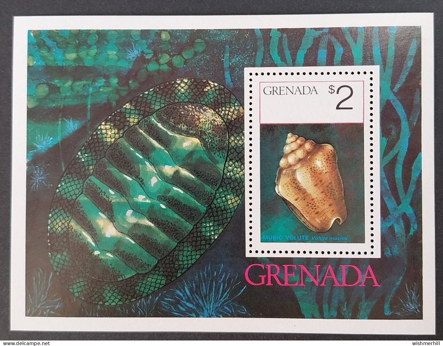 Coquillages Shells // Bloc Neuve ** MNH ; Grenade BF 43 (1975) Cote 6 € - Conchas