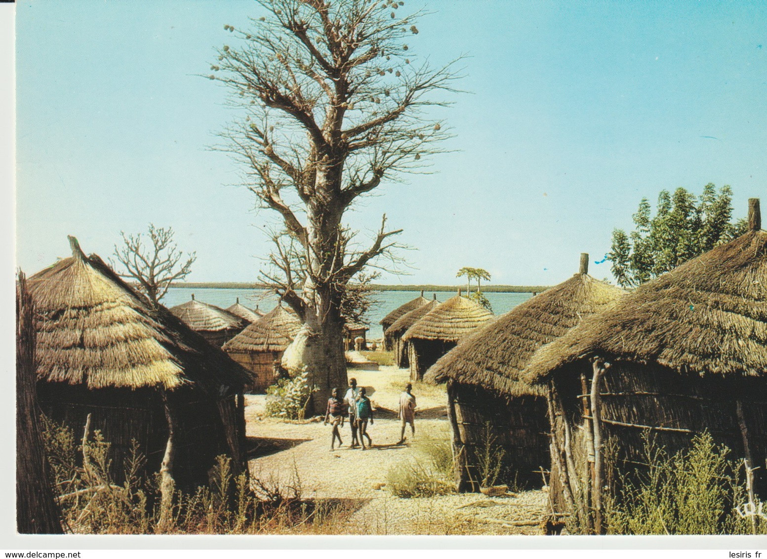 C.P. - PHOTO - COULEURS DU SÉNÉGAL - VILLAGE DU SINE SALOUM - M. RENAUDEAU - 1015 - HOA QUI - Senegal