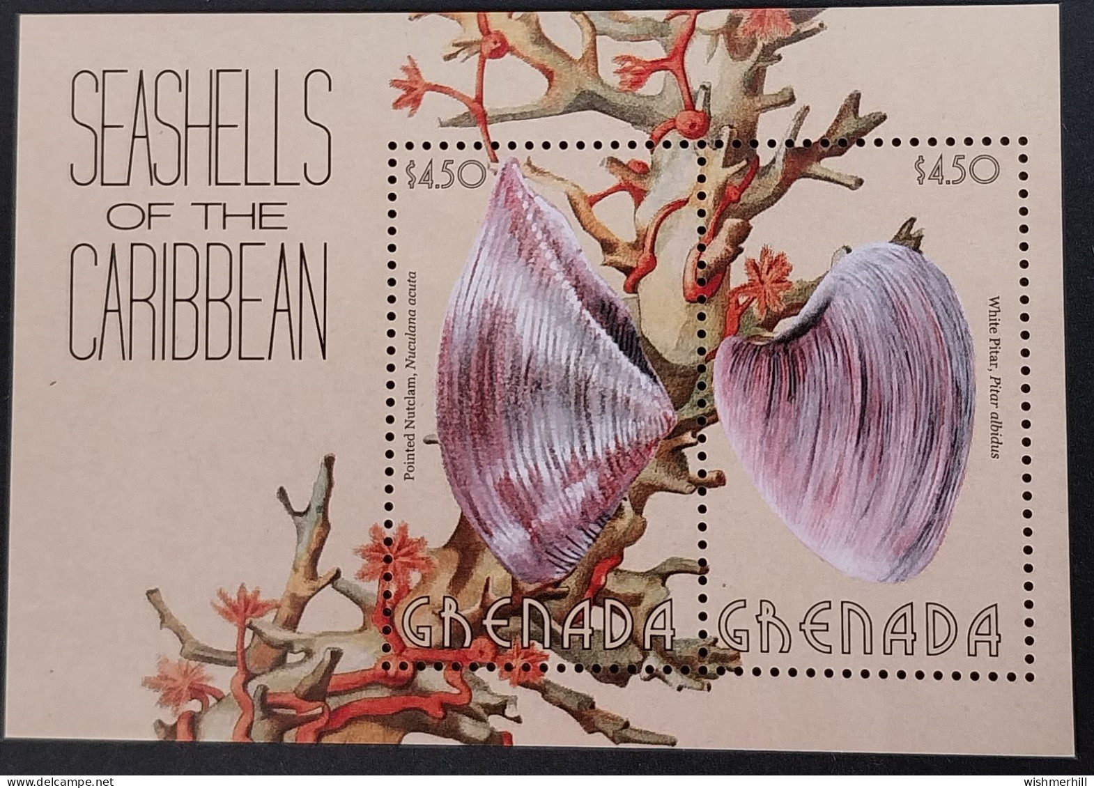 Coquillages Shells // Bloc Neuve ** MNH ; Grenade BF 761 (2013) Cote 12 € - Conchas