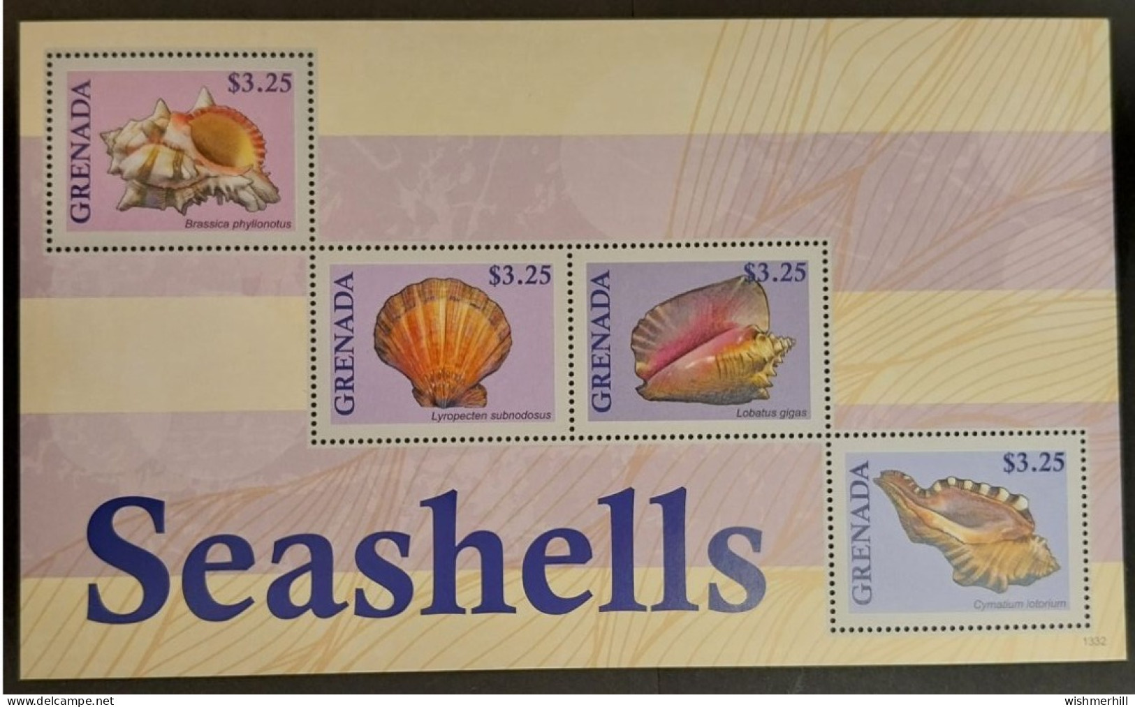 Coquillages Shells // Série Complète Neuve ** MNH ; Grenade YT 5543J/5543M (2013) Cote 16 € - Conchas