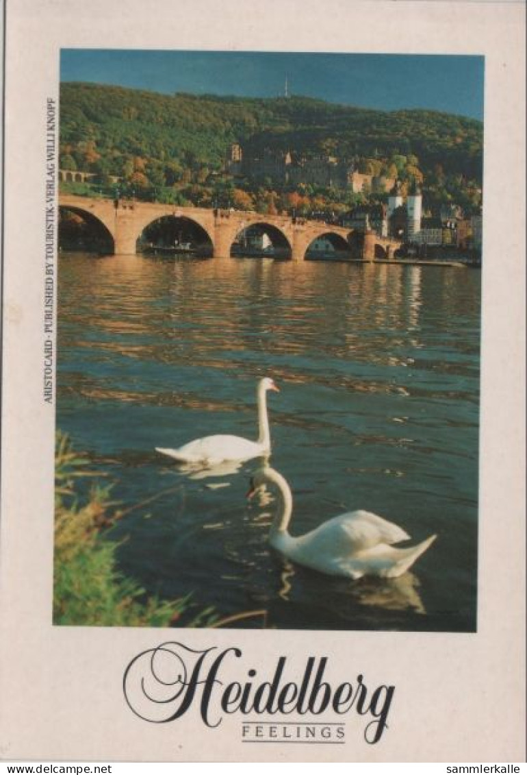 9000592 - Heidelberg - Brücke - Heidelberg