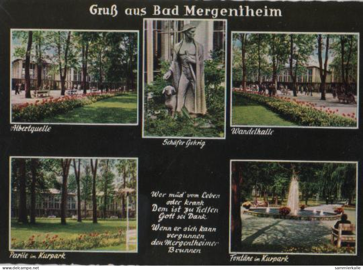 20338 - Bad Mergentheim U.a. Albertquelle - Ca. 1975 - Bad Mergentheim