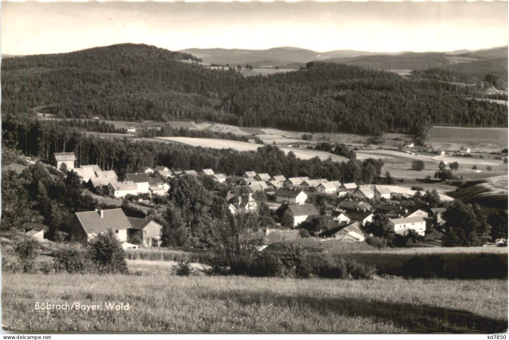 Böbrach - Regen