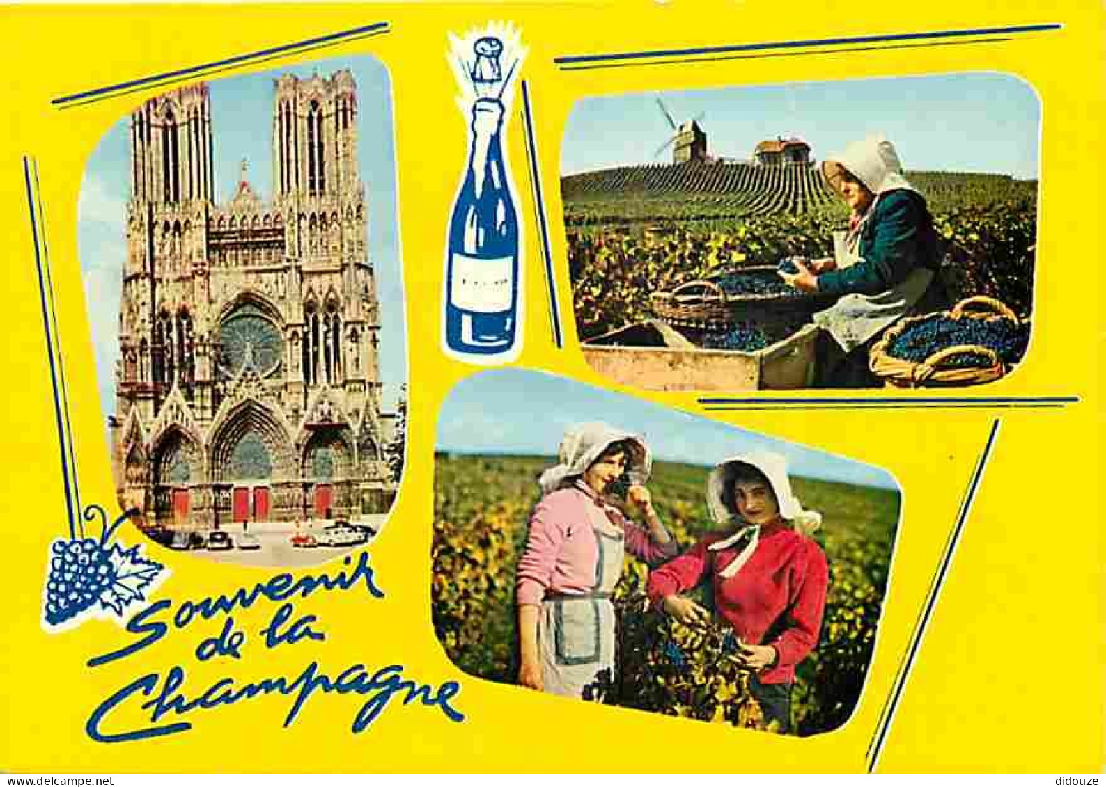 Vignes - Champagne - Multivues - Vendanges - CPM - Voir Scans Recto-Verso - Wijnbouw