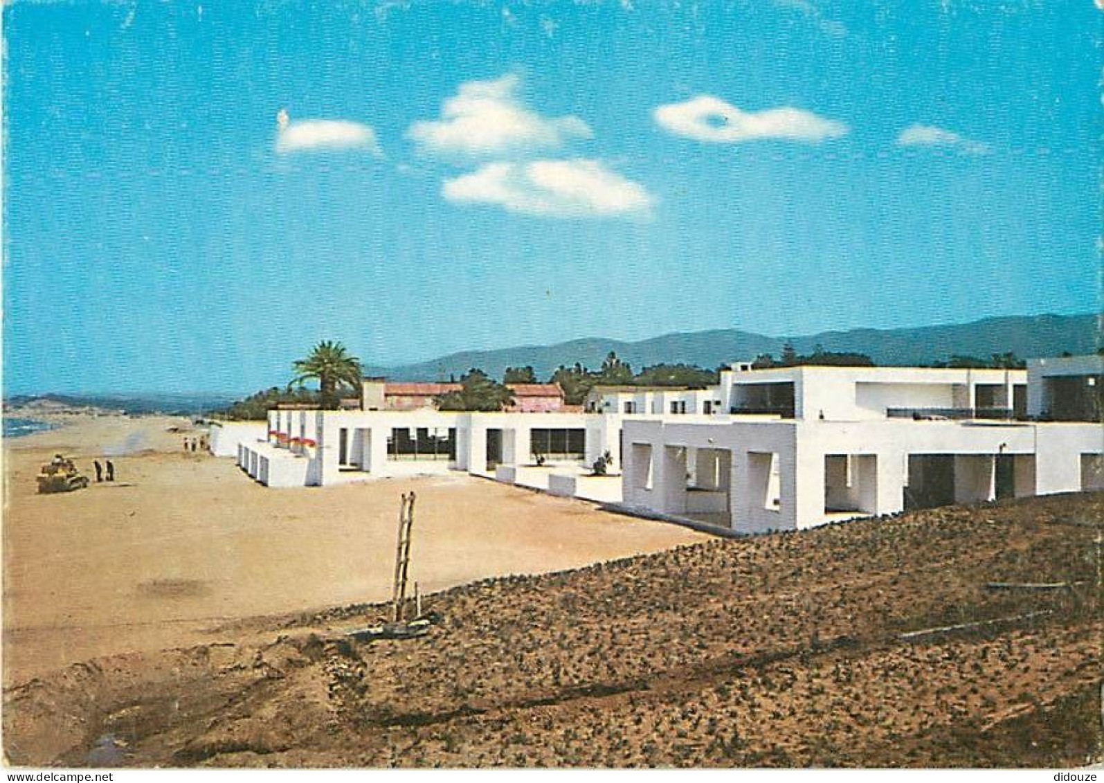 Algérie - Oran - Les Andalouses - CPM - Carte Neuve - Voir Scans Recto-Verso - Oran