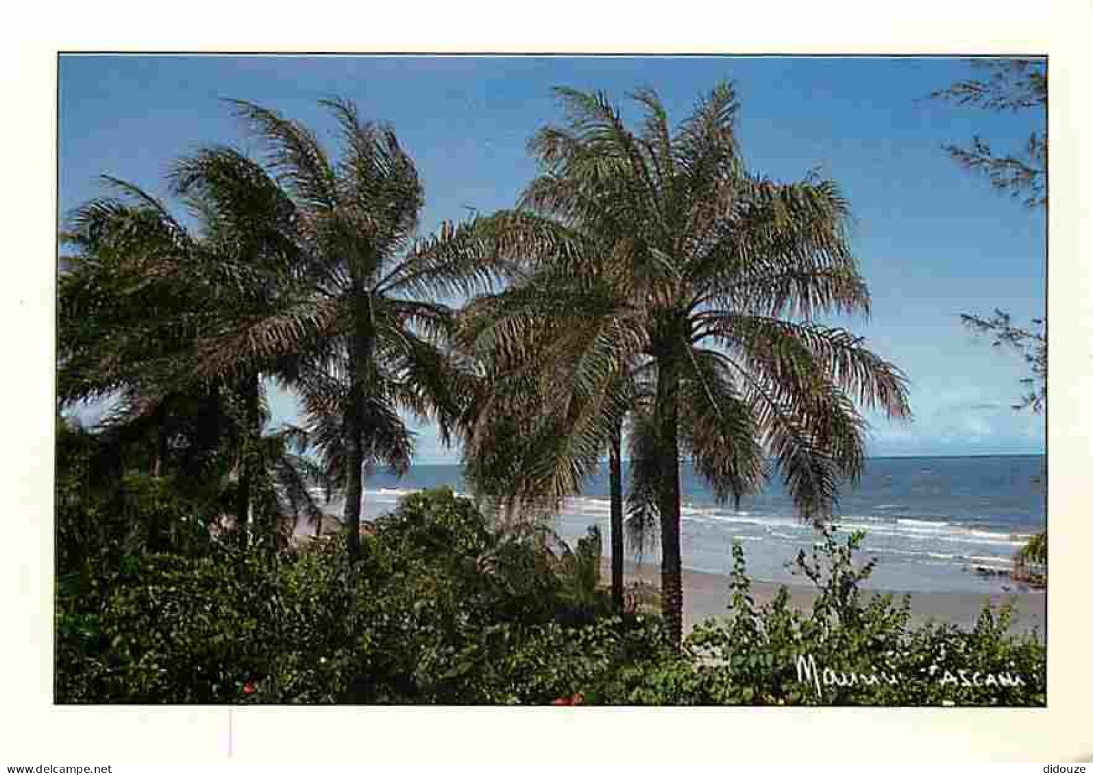 Sénégal - Cap-Skirring - Plage De La Paillote - CPM - Voir Scans Recto-Verso - Senegal