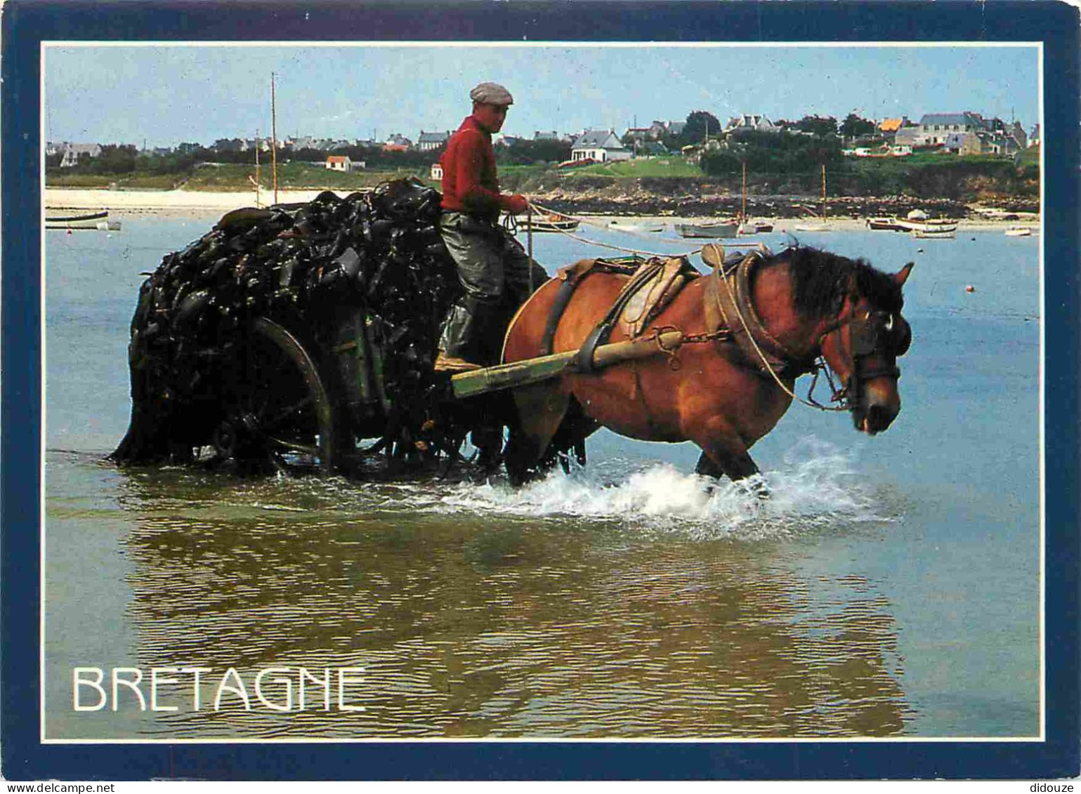 Animaux - Chevaux - Bretagne - Charretée De Goëmon - Horses - Pferde - CPM - Carte Neuve - Voir Scans Recto-Verso - Pferde