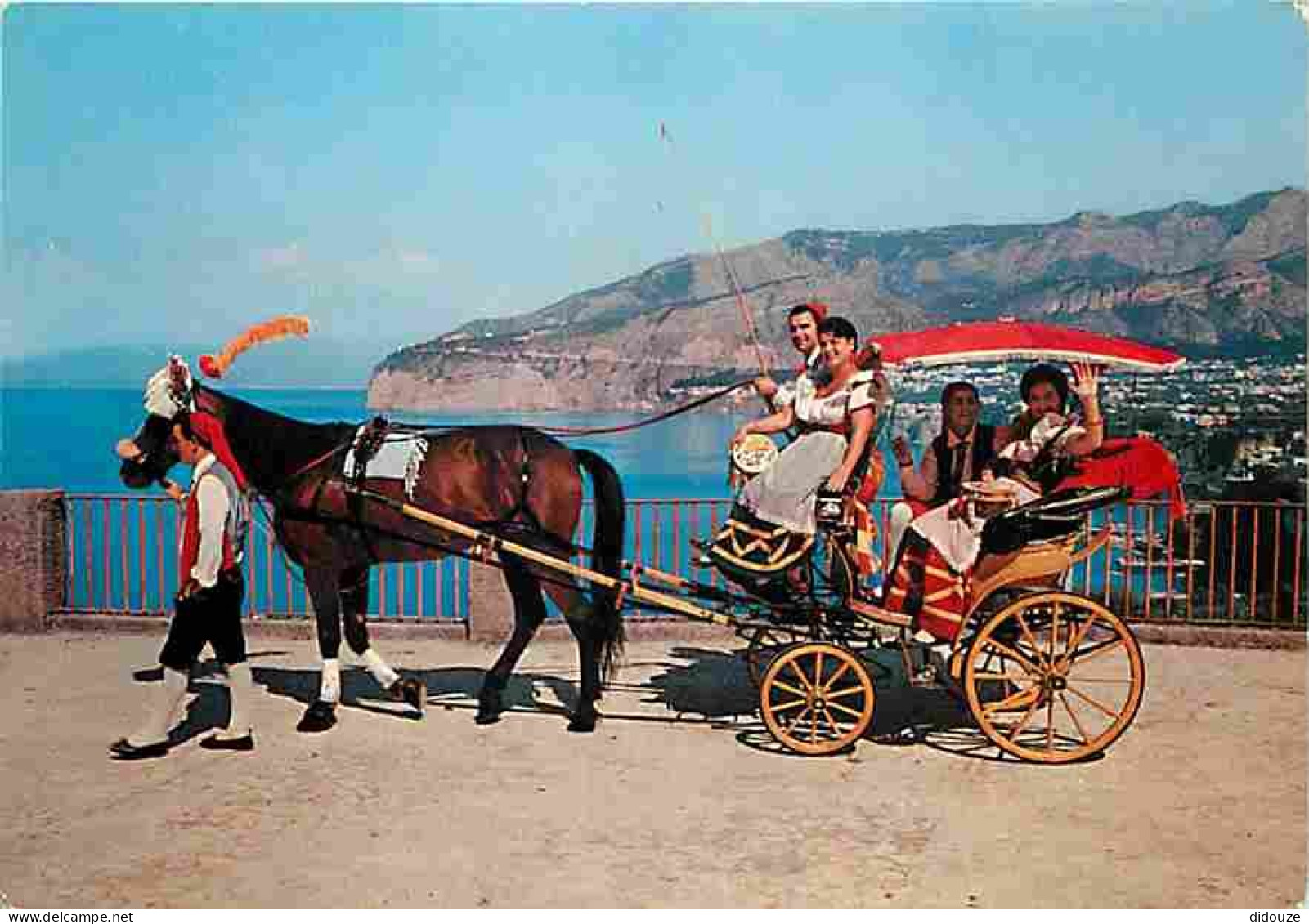 Animaux - Chevaux - Italie - Passeggiata Sorrentina - Promenade à Sorrente - Drive In Sorrento - Spaziergang In Sorrento - Pferde