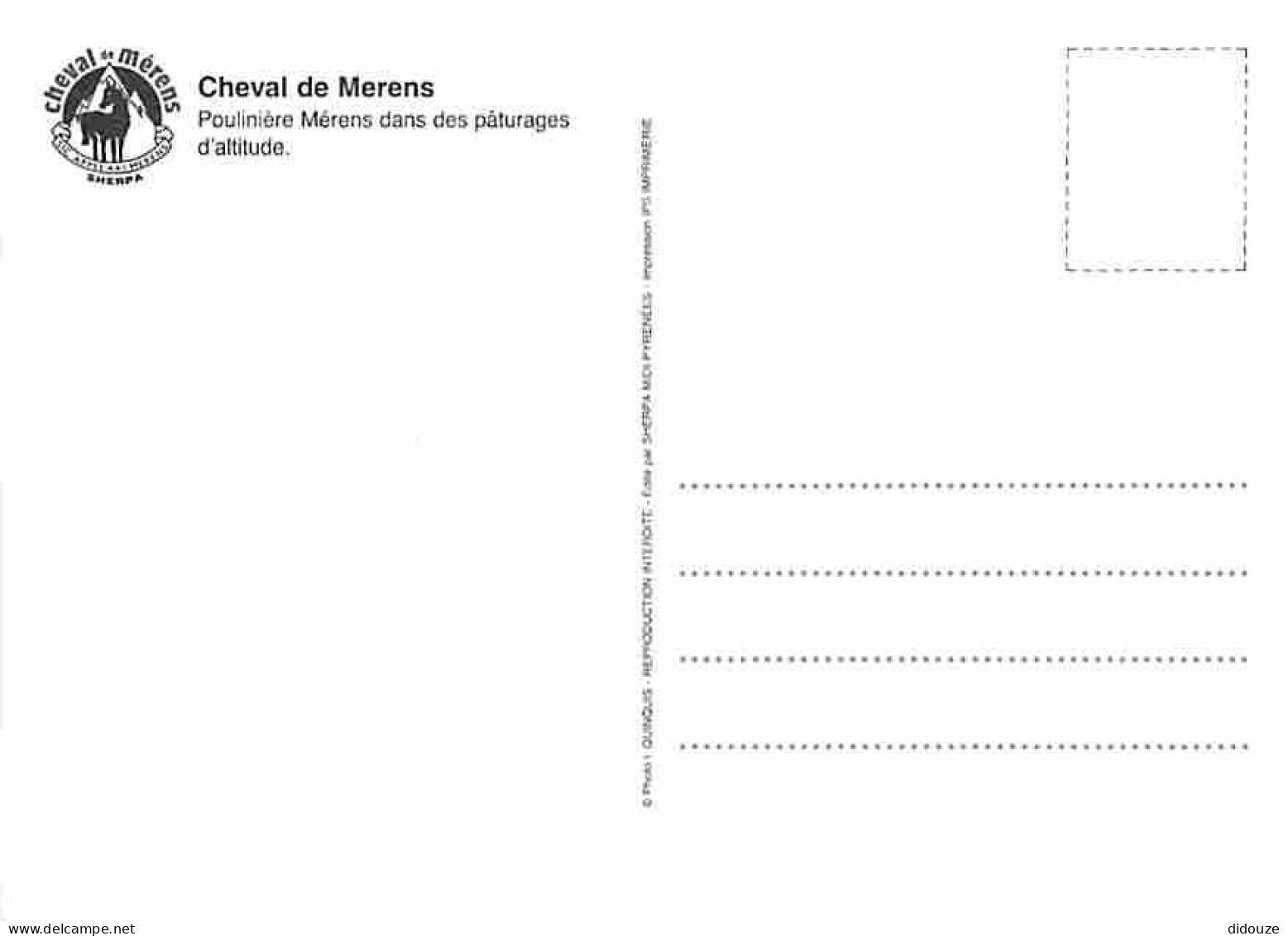 Animaux - Chevaux - Cheval De Meréns - Poulinière Mérens Dans Les Paturages D'altitude - CPM - Voir Scans Recto-Verso - Cavalli