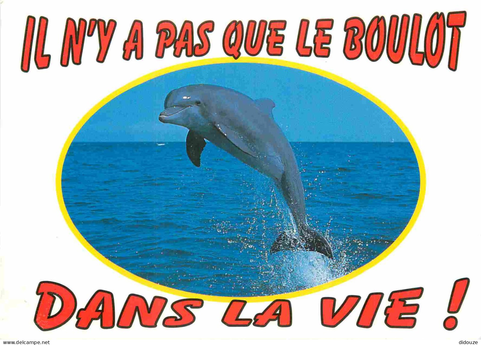 Animaux - Dauphin - Dolphin - Carte à Message - CPM - Carte Neuve - Voir Scans Recto-Verso - Delphine
