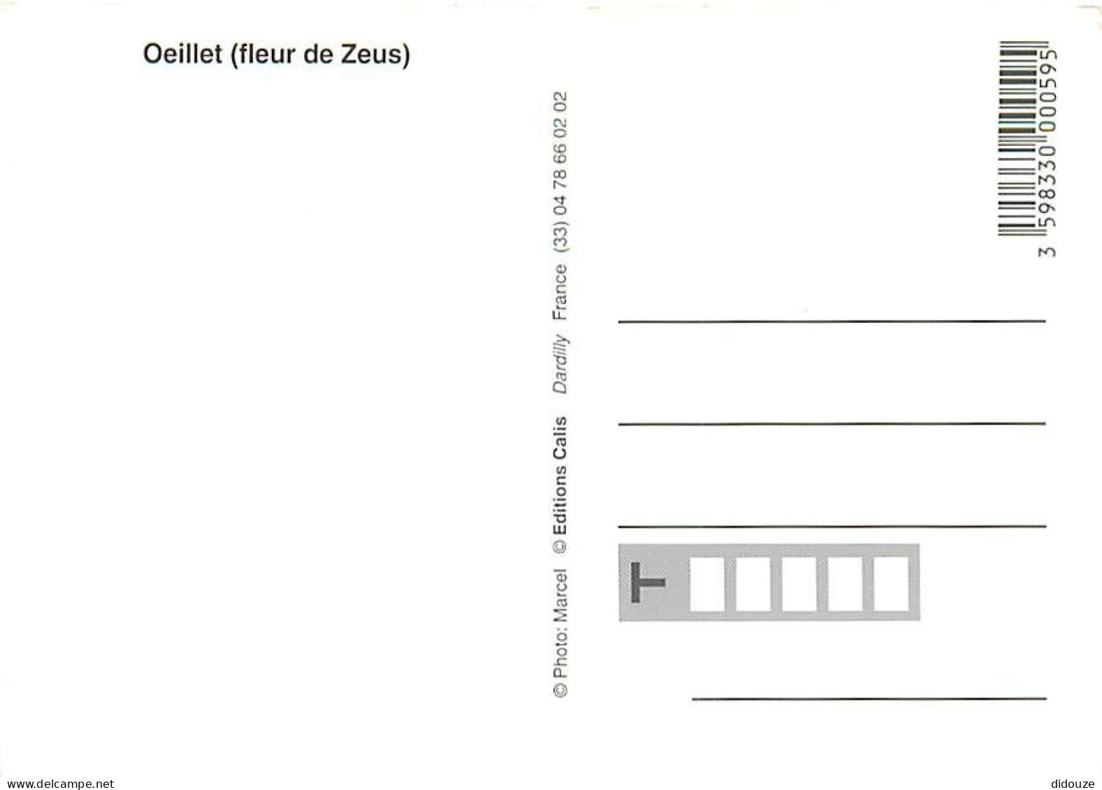 Fleurs - Carte Studio Marcel - CPM - Voir Scans Recto-Verso - Blumen