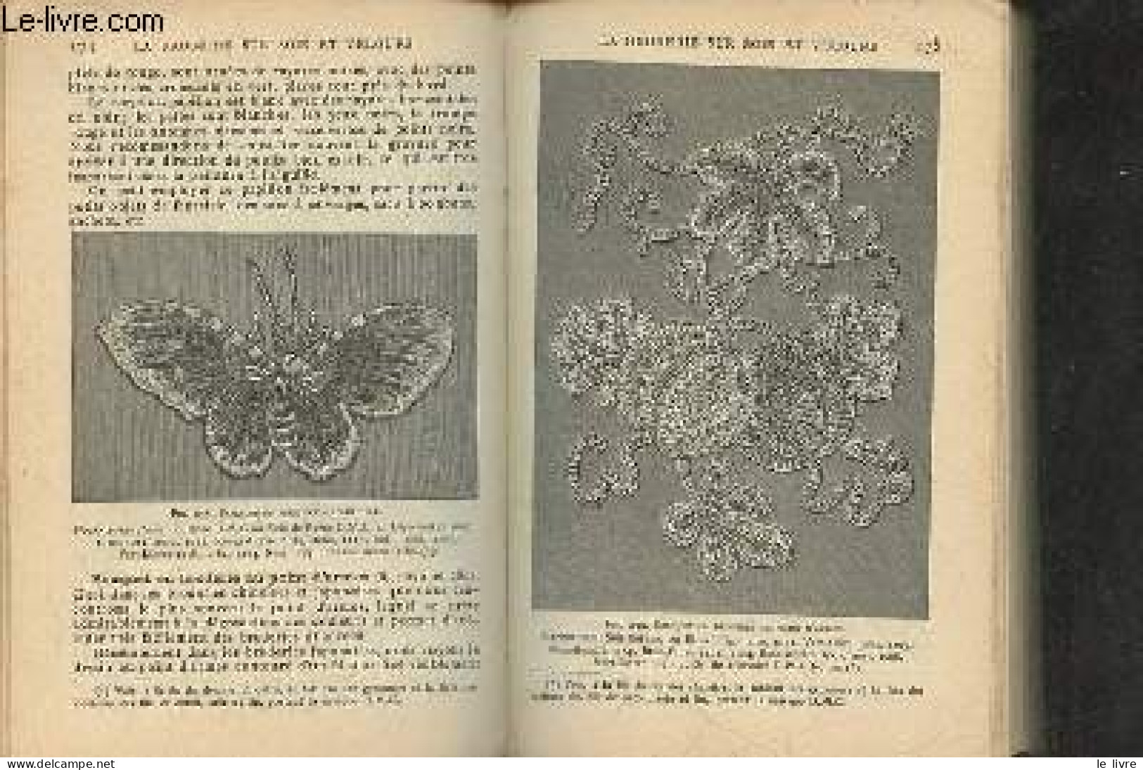 Encyclopédie Des Ouvrages De Dames - Nouvelle édition Revue Et Augmentée - Bibliothèque DMC. - De Dillmont Thérèse - 0 - Other & Unclassified