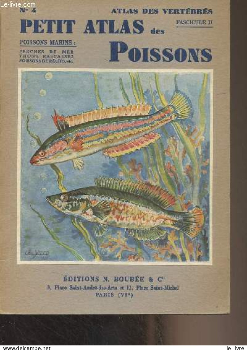 Petit Atlas Des Poissons - II - Poissons Marins - "Atlas Des Vertébrés" Fasc. II - Bertin Léon - 1946 - Tiere