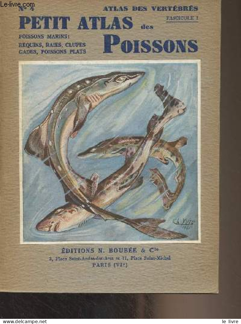 Petit Atlas Des Poissons - I - Poissons Marins - "Atlas Des Vertébrés" Fasc. II - Bertin Léon - 1946 - Tiere