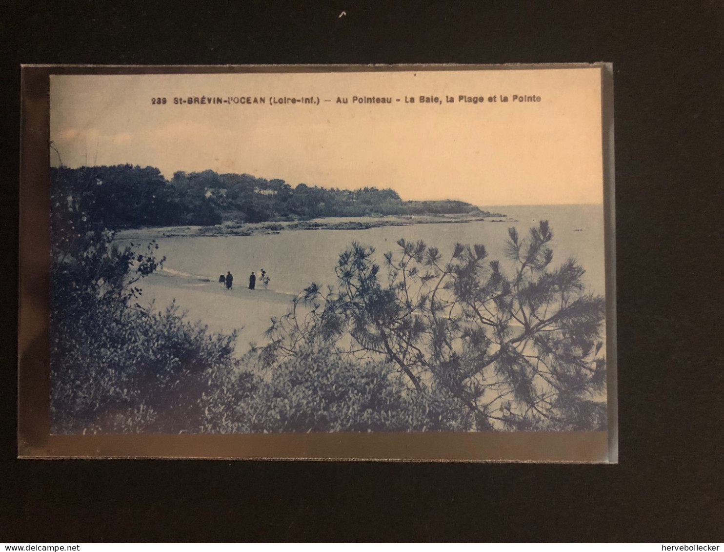 Saint Brévin L'Océan - Au Pointeau - La Plage - 44 - Saint-Brevin-l'Océan